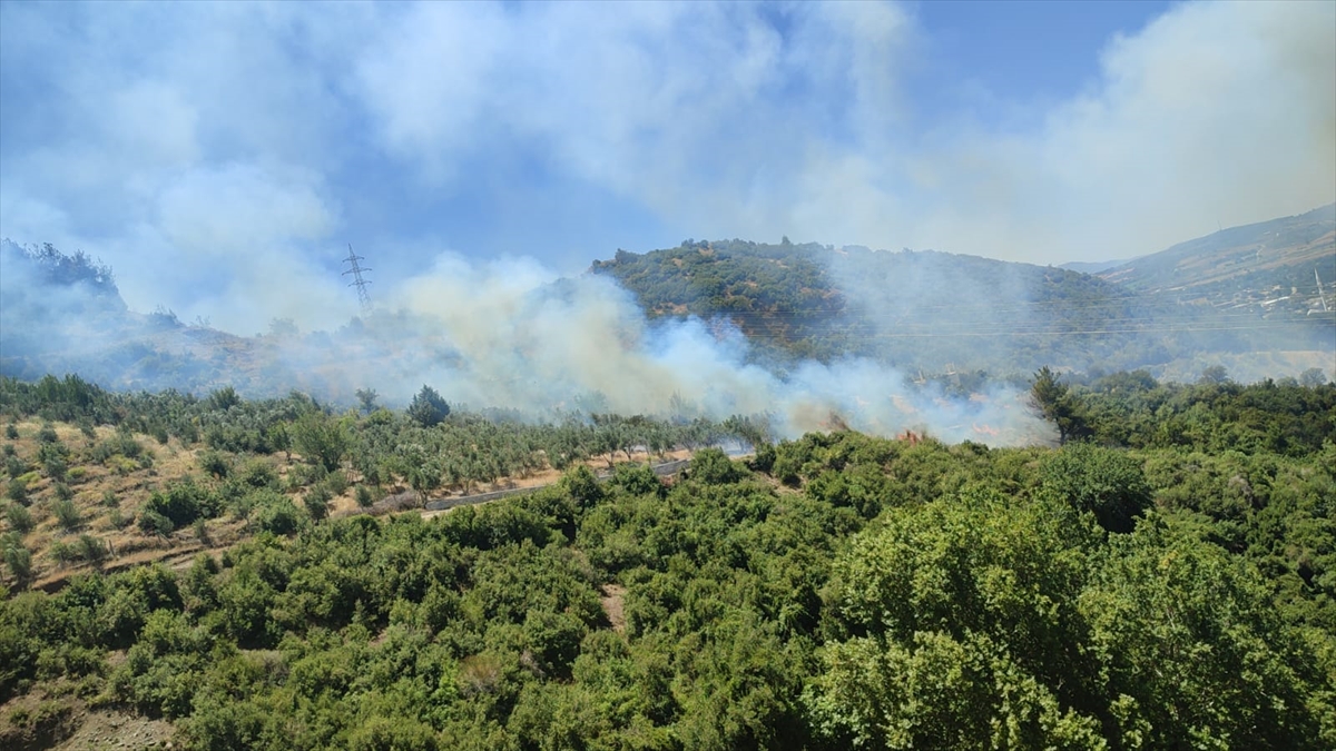 Osmaniye Düziçi'nde çıkan orman yangını kontrol altına alındı