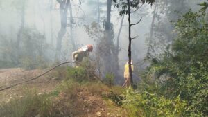 OSMANİYE (AA) – Osmaniye'nin Kadirli ilçesinde ormanlık alanda çıkan yangına