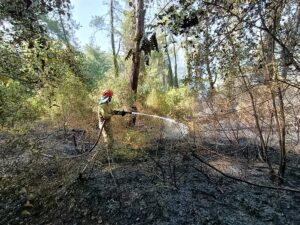 YANGININ KONTROL ALTINA ALINMASI EKLENDİ