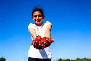 SAKARYA (AA) – Sakarya'nın Kocaali ilçesinde babasına destek olmak amacıyla