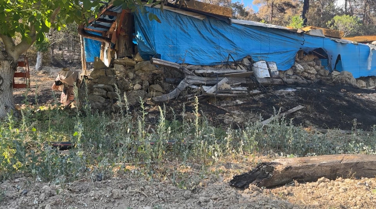 Sakarya'da çıkan orman yangınında ekinleri zarar gören çiftçi konuştu