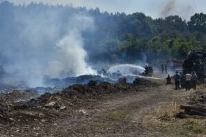 SAKARYA (AA) – Sakarya'nın Söğütlü ilçesinde orman işletme deposunda çıktıktan