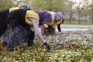 SAMSUN (AA) – Samsun'da katı atık düzenli depolama tesislerinde atıkların