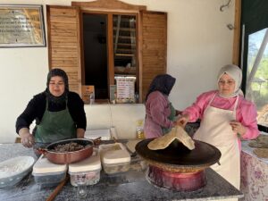 SAMSUN (AA) – Samsun'un Alaçam ilçesinde tarım alanında üretim yapan