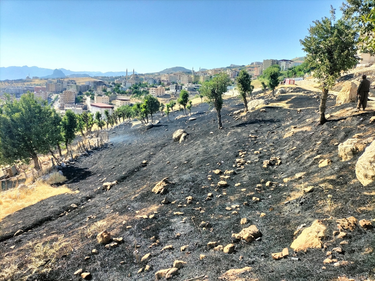 Şırnak'ta çıkan anız yangını söndürüldü