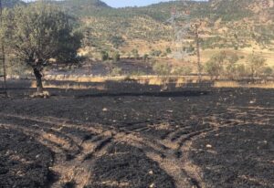 ŞIRNAK (AA) – Şırnak'ın Kumçatı beldesinde çıkan yangında yaklaşık 50