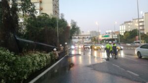 İSTANBUL (AA) – Şişli'de D-100 kara yolunun kenarındaki ağaçlık alanda