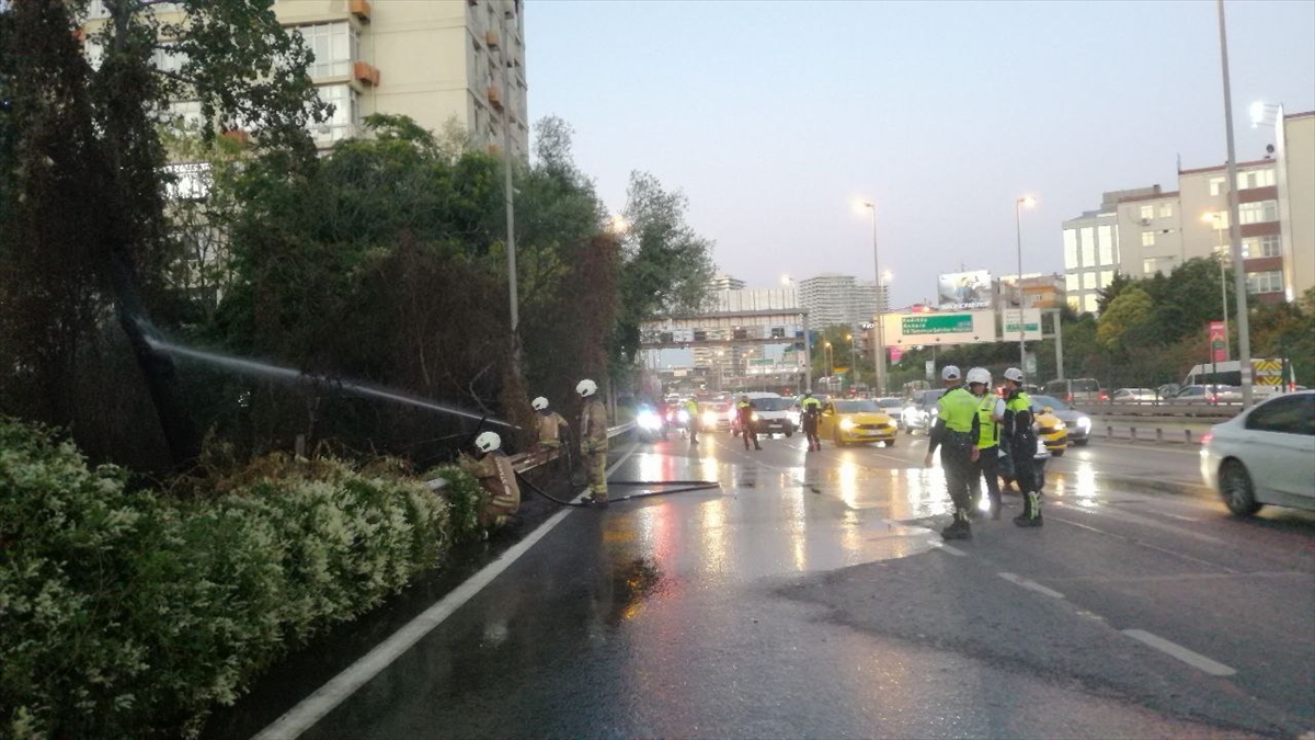 Şişli'de ağaçlık alanda çıkan yangın söndürüldü