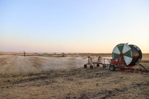 EDİRNE (AA) – Edirne'de son yıllarda artırılan sulama yatırımları sayesinde