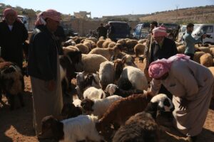 İDLİB (AA) – AHMET KARAAHMET/ÖMER KOPARAN – Suriye'de yıllarca süren