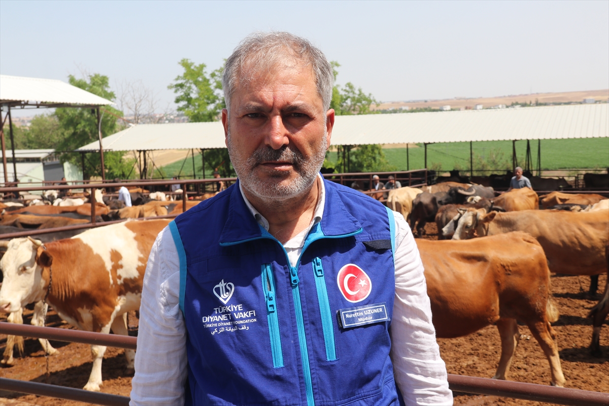 TDV, Diyarbakır'da 4 bin 25 kurban hissesinin etini ihtiyaç sahiplerine ulaştıracak