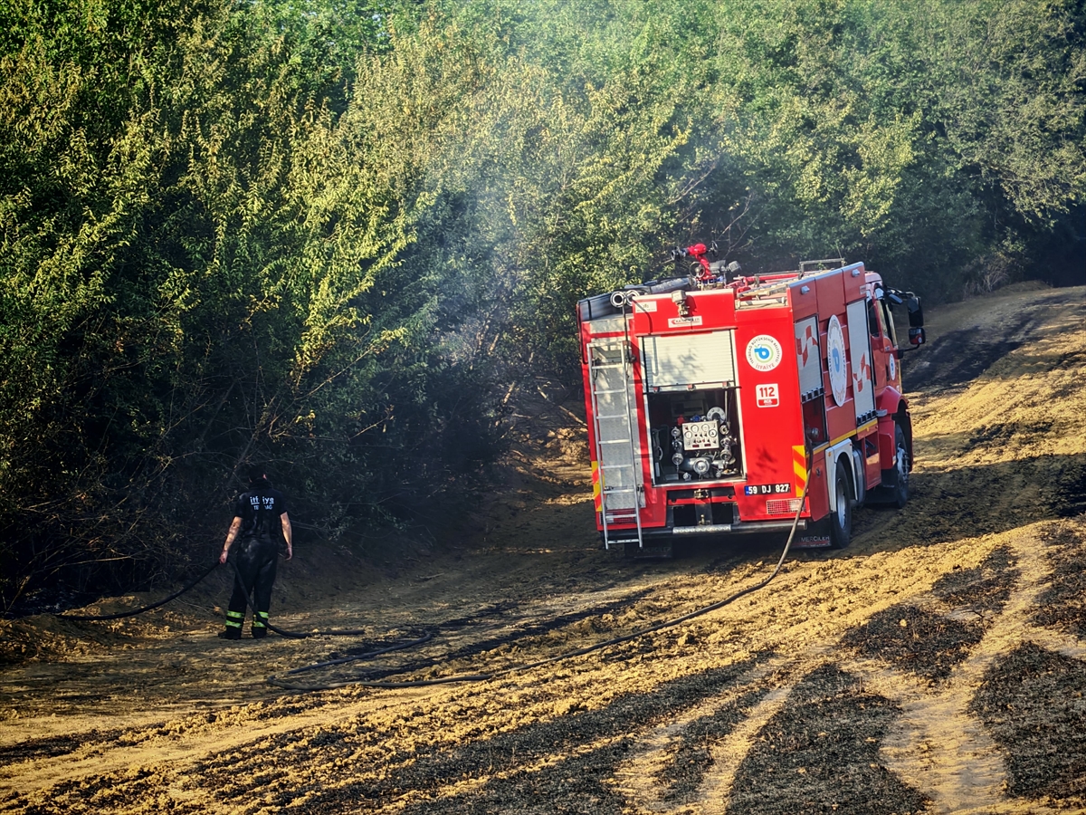Tekirdağ'da 200 dekar buğday ekili alan yandı