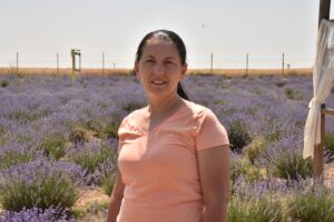 TEKİRDAĞ (AA) – Tekirdağ’ın Çerkezköy ilçesinde mor renge bürünen lavanta