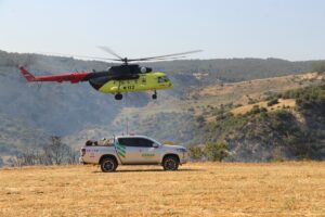 TEKİRDAĞ (AA) – Tekirdağ'ın Şarköy ilçesinde otluk alanda başlayıp makiliğe