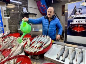 TRABZON (AA) – Trabzon'da balıkçı tezgahlarında yaşanan bolluk esnafın yüzünü