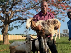 LOME (AA) – Türkiye Diyanet Vakfı (TDV) ekipleri, "Kurbanını paylaş,