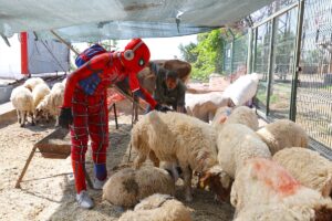 MARDİN (AA) – Türkiye'yi "Örümcek Adam" kostümüyle gezme hayaliyle memleketi