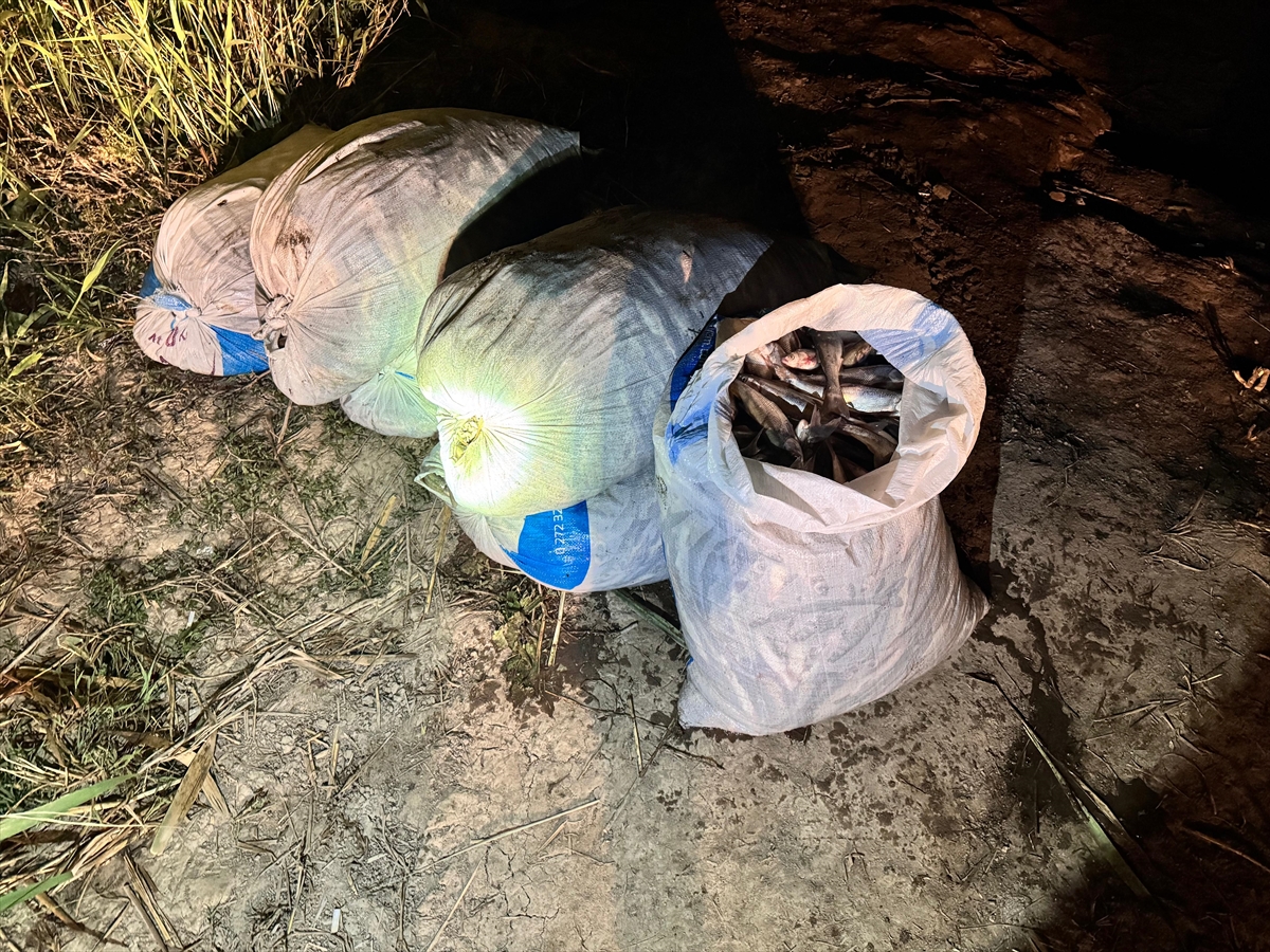 Van'da kaçak avlanan 1 ton 970 kilogram inci kefali ele geçirildi