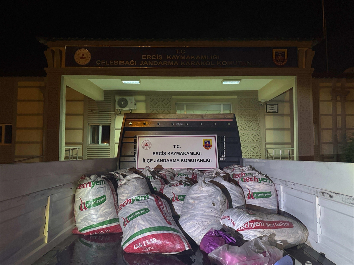 Van'da kaçak avlanan 2 ton inci kefali ele geçirildi