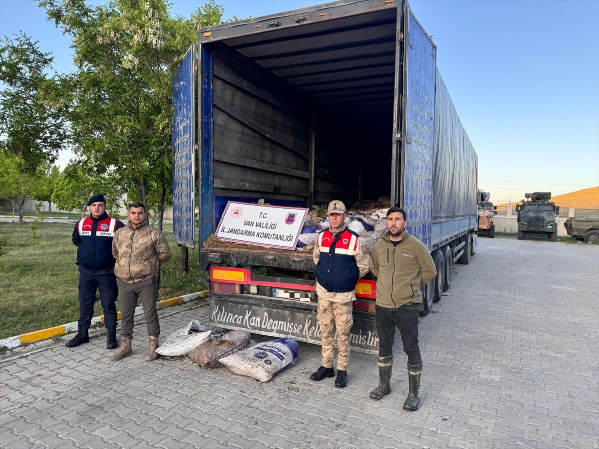 Van'da kaçak avlanmış 19 ton 200 kilogram inci kefali ele geçirildi