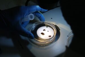 TOKAT (AA) – EKBER TÜRKOĞLU – Tokat Gaziosmanpaşa Üniversitesi (TOGÜ)