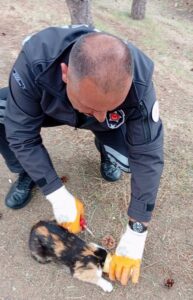YOZGAT (AA) – Yozgat'ta başını konserve kutusuna sıkıştıran kediyi, güvenlik