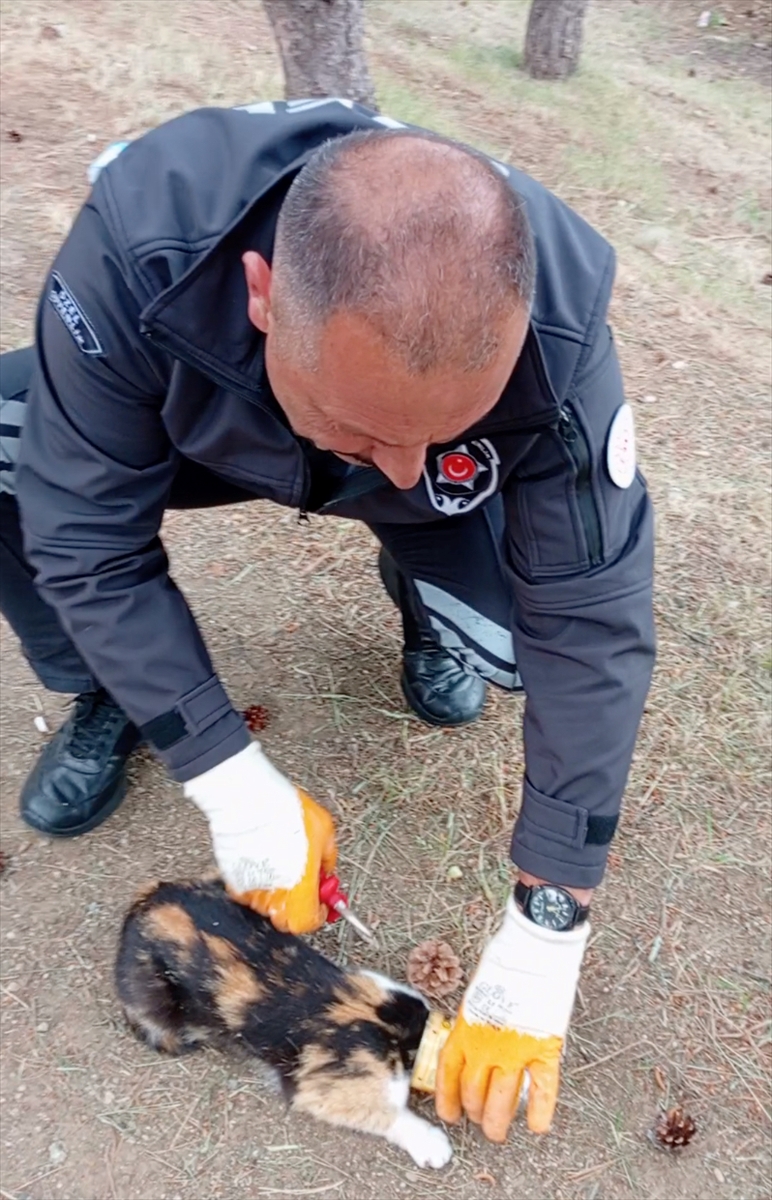 Yozgat'ta kafası konserve kutusuna sıkışan kediyi güvenlik görevlisi kurtardı