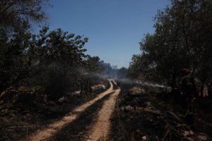 ATİNA (AA) – Yunanistan, Sakız Adası'ndaki orman yangını nedeniyle bazı