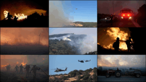 İZMİR (AA) – İzmir’in Çeşme ilçesinde ziraat alanında başladıktan sonra