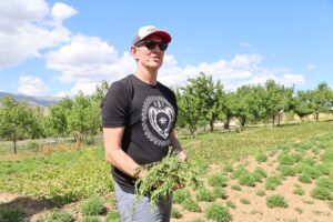 BAYBURT (AA) – ABD'de faaliyet gösteren baharat firmasının temsilcileri, Türkiye'deki