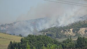 ADANA (AA) – Adana'nın Ceyhan ilçesinde makilikte başlayıp ormanlık alana