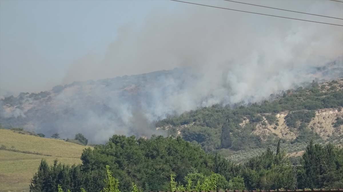 Adana'da makilikte başlayıp ormanlık alana sıçrayan yangın kontrol altına alındı