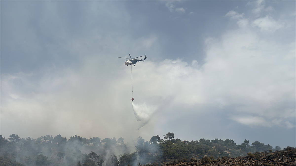 Adıyaman'da ormanlık alanda çıkan yangın kontrol altına alındı