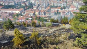 AFYONKARAHİSAR (AA) – Afyonkarahisar'da ağaçlık alanda çıkan ot yangını söndürüldü.