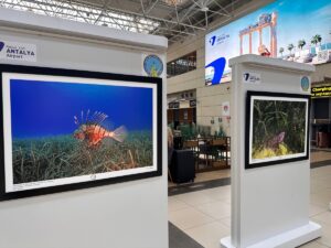 ANTALYA (AA) – Su altı fotoğrafçısı ve belgesel yapımcısı Tahsin