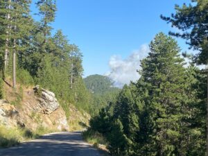 ANTALYA (AA) – Antalya'nın Alanya ilçesinde ormanlık alanda çıkan yangına