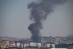 ANKARA (AA) – Ankara'nın Altındağ ilçesinde boş arazide çıkan ve