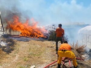 ANTALYA (AA) – Antalya'nın Serik ilçesinde çalılık alanda çıkıp seralara