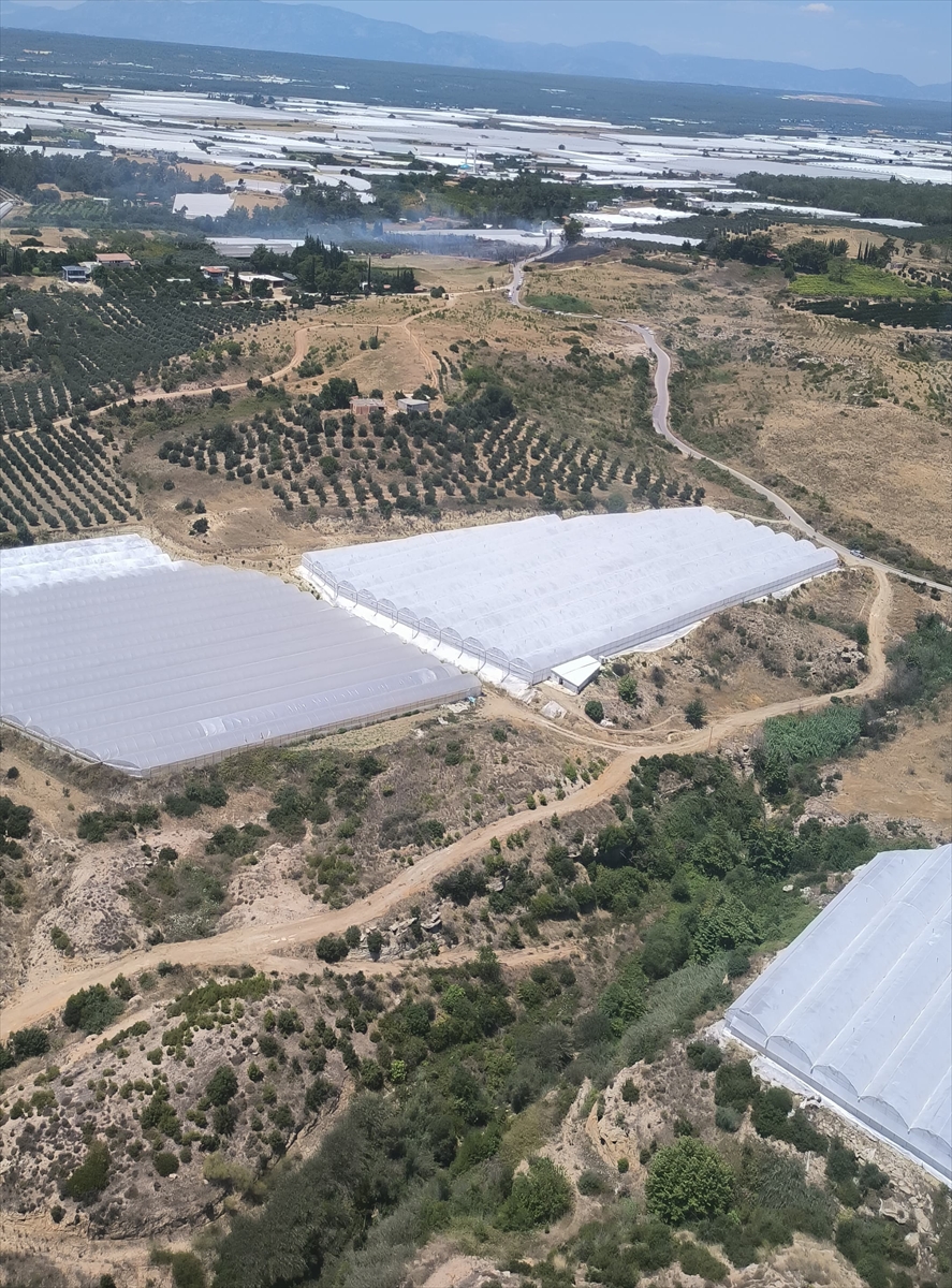 Antalya'da makilik alanda çıkan yangına müdahale ediliyor