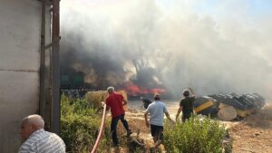 ANTALYA (AA) – Antalya'nın Aksu ilçesinde otluk alanda çıkan ve