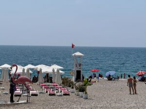 ANTALYA (AA) – Antalya'da yüzde 81'e ulaşan nemden ve yüksek