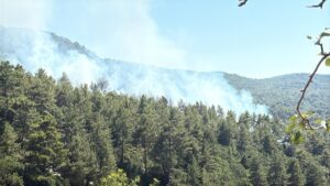 ANTALYA (AA) – Antalya'nın Kaş ilçesinde ormanlık alanda çıkan yangına