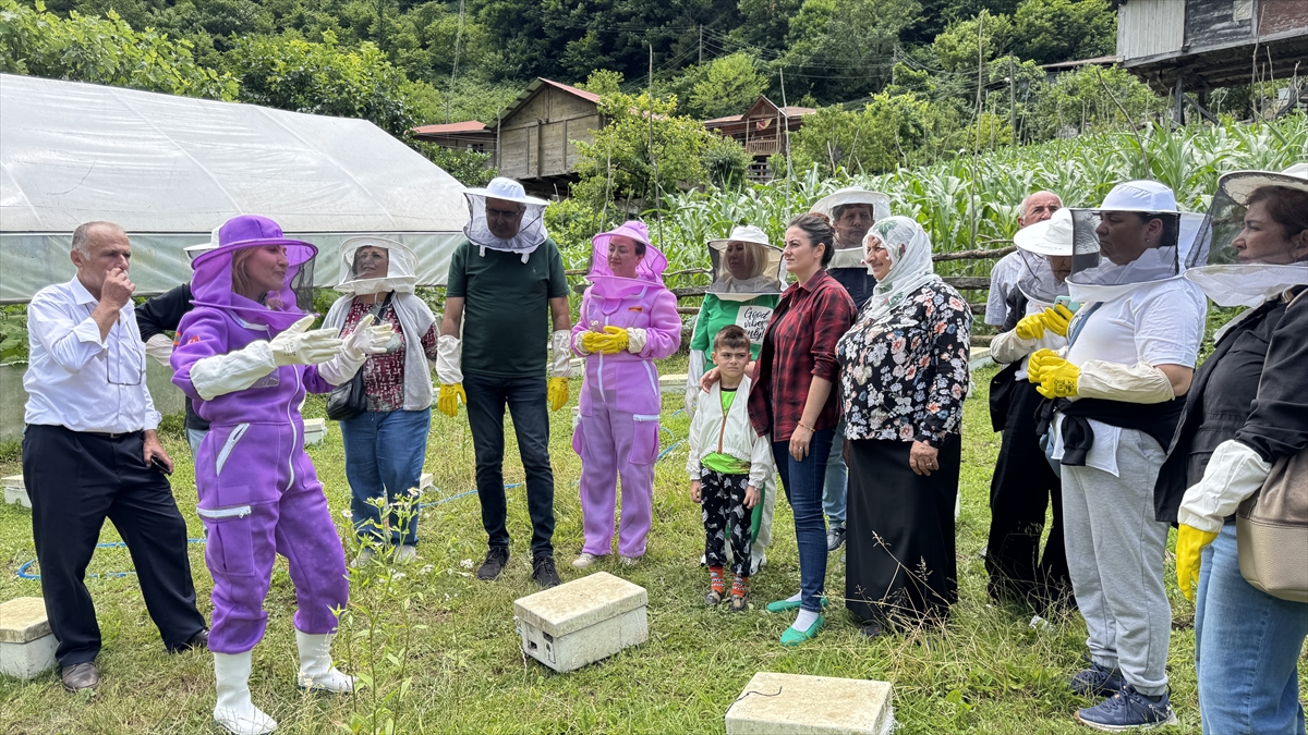 Artvin'de arıcılığı doğa turizmiyle birleştiren “apiturizm” faaliyetleri sürüyor
