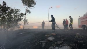 İSTANBUL (AA) – Atatürk Havalimanı sınırları içerisindeki otluk alanda çıkan