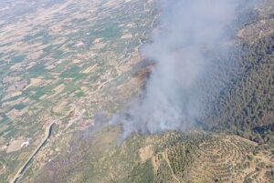 AYDIN (AA) – Aydın'ın Bozdoğan ilçesinde tarım alanında çıkan yangına