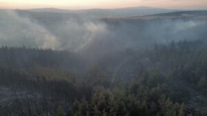 BALIKESİR (AA) – Balıkesir'in Susurluk ve Kepsut ilçeleri arasındaki ormanlık