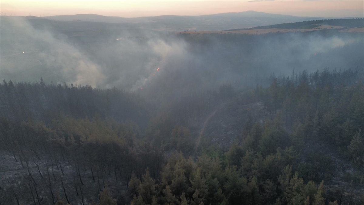 Balıkesir'de çıkan orman yangınına havadan ve karadan müdahale ediliyor