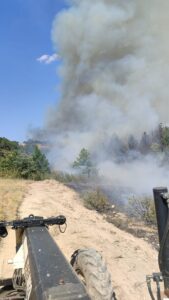 BALIKESİR (AA) – Balıkesir'in Sındırgı ilçesinde, çıkan orman yangını kontrol