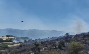 BALIKESİR (AA) – Balıkesir'in Savaştepe ilçesinde çıkan orman yangını söndürülmeye