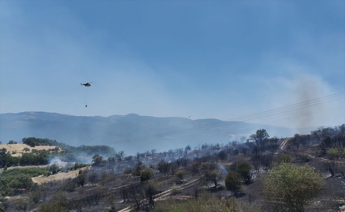 Balıkesir'in Savaştepe ilçesinde çıkan orman yangınına müdahale ediliyor